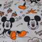 Preview: Popeline Mickey Mouse
